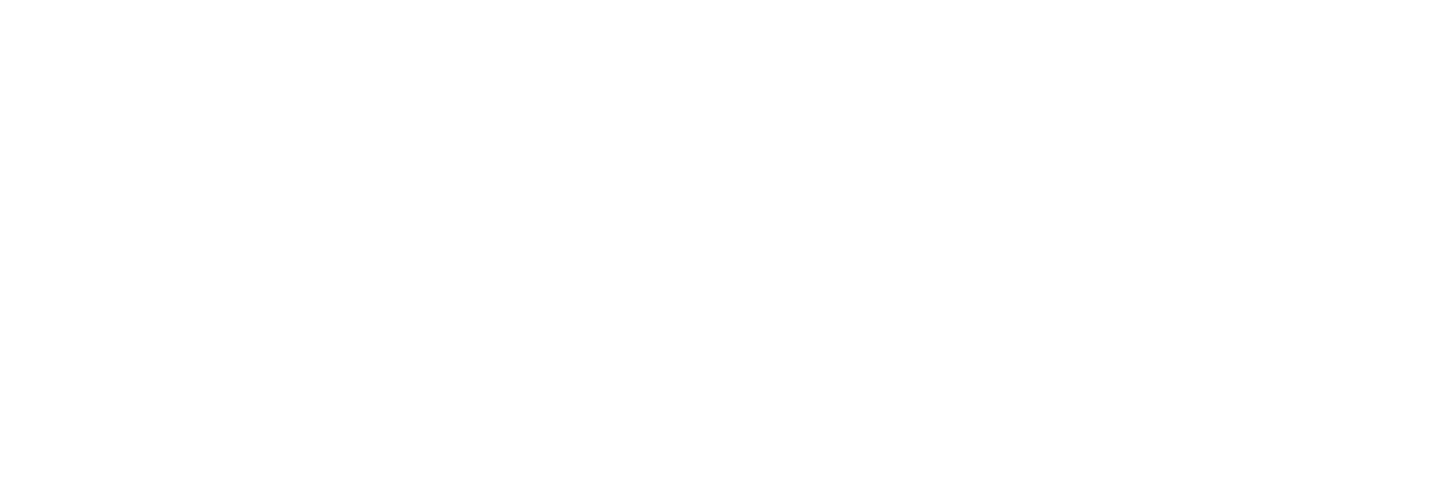 The Coconut Experience